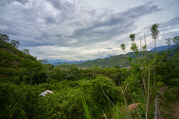 Fototapeta na wymiar beautiful jungle landscape with rain clouds