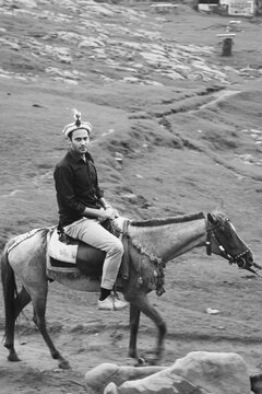 person riding horse
