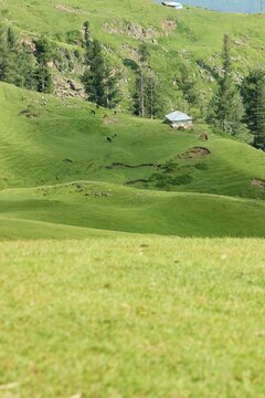 Beautiful meadows of Azad Kashmir Pakistan