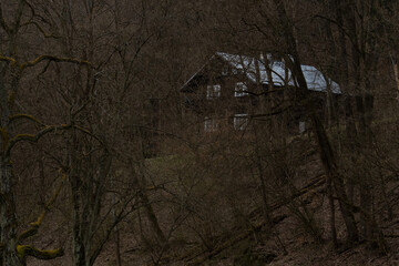 dom w lesie © Colorful Soul