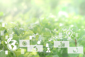 Blurred gentle light green plant background. Agriculture and technology abstract concept, Futuristic ai virtual icons with Sustainable energy, Alternative medicine, Natural herbal remedies, Free space