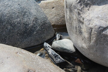 rocas en rio