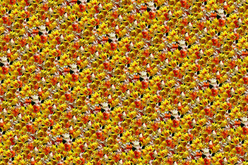 flower plant pattern texture background