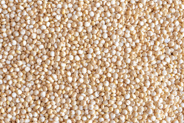 Raw quinoa top-down view