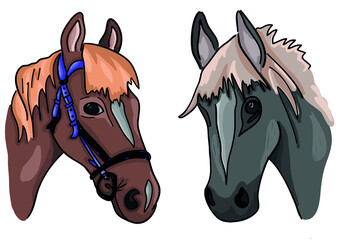 Vector simple colored horse head illustration set