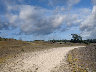 Het Wekeromse Zand op de Veluwe