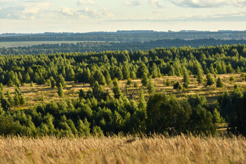 Fototapeta na wymiar panoramic view of the beautiful field