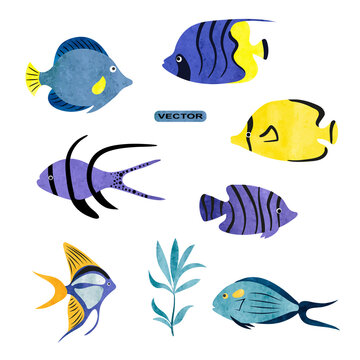Tropical fish vector set. Coral reef watercolor collection of sea fish and seaweeds isolated on white