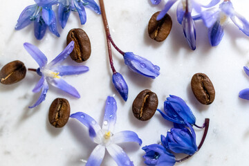 blue flowers and coffee beans
