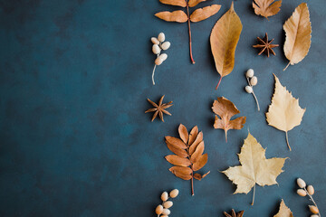 Autumn background made of dried leaves border