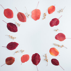Wreath of dried red leaves on white background