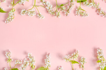 Postcard background with white flowers on a pink background with copy space.