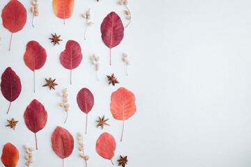 Autumn background, pattern of red dried leaves