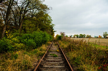 Jesienne tory © bulamati