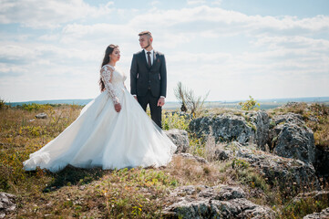 Newlyweds hug on the background of rocks and a beautiful landscape