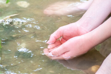 Young boy playing with clear water at a little creek using his hands and the water spring cooling his hands and refreshing with the pure elixir of life for zen meditation or environmental protection