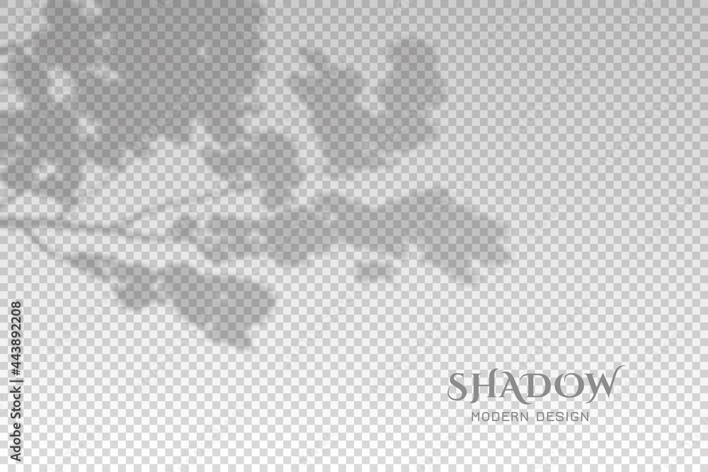 Poster shadow of leaf from window. shadow leaves isolated on transparent background. sunshine for effect ov
