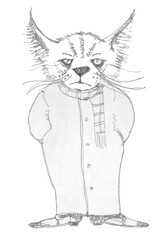 Mysterious cat. Cat detective. Ink drawing.