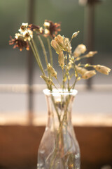 flores secas en jarrón en una tarde de verano