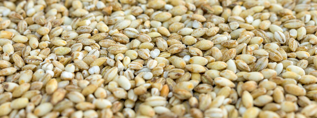 pearl barley close-up for background