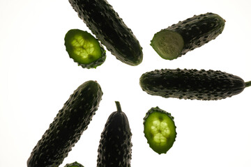 Set of fresh whole and sliced cucumbers on white background. Garden cucumber green wallpaper backdrop design