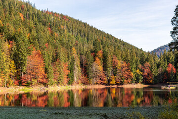 Picturesque lake in the autumn forest. Gorgeous scenery with a mirror reflection of a spruce forest on the water surface. Mountain Lake Synevyr in Carpathian, Ukraine. Zakarpattia.