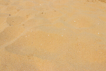 Fototapeta na wymiar Yellow sand texture for background