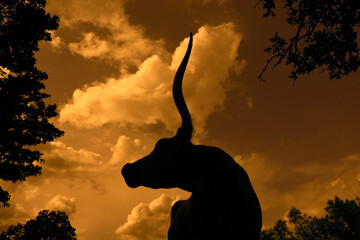 Dramatic silhouette portrait of Texas longhorn cow over clouds in background.