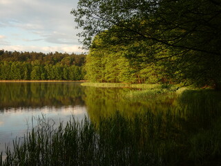 Scenic view of Schodno lake in spring, Kashubian Lake District, Poland