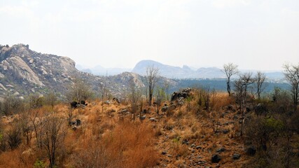 Obraz premium landscape in autumn