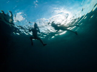 Obraz na płótnie Canvas Underwater photo of couple swimming in the sea