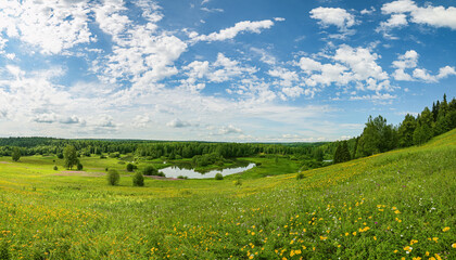 Summer panoramic landscape with wildflowers and trees on a wide meadow, a winding river and a forest in the distance, clouds in the blue sky.