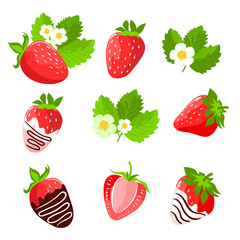 A set of strawberries. Berries, flowers, leaves and strawberries in chocolate. Vector, isolated on a white background.