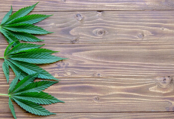 cannabis leaves on wood background.