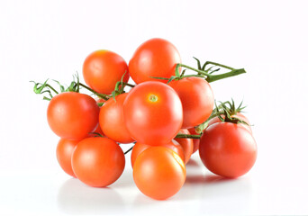 tomatoes on a branch