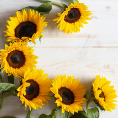 frame of sunflowers on white wood background