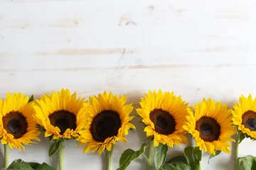 Keuken spatwand met foto rand van zonnebloemen op witte houten achtergrond met kopie ruimte © Kara