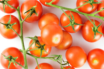 Top view shot, vine cherry tomatoes on a light background