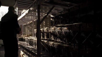 Loaders unload bitcoin ASIC miners from steel shipping container warehouse. Movers pick up altcoin mining equipment from stand racks to cryptocurrency mining farm. Workers carry loads from storage. - Powered by Adobe