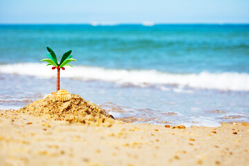 Sand island and palm tree closeup on the sea beach