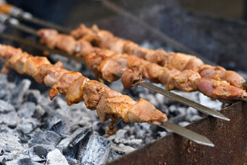 shish kebab on the grill