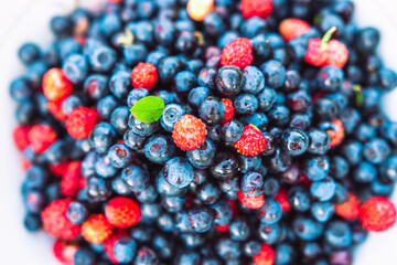 Blueberries and wild strawberries in a white bowl. Juicy summer season fruits.