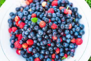Blueberries and wild strawberries in a white bowl standing on green meadow. Juicy summer season fruits.