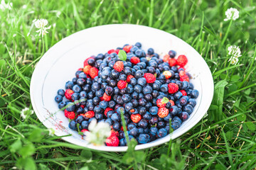 Blueberries and wild strawberries in a white bowl standing on green meadow. Juicy summer season fruits.