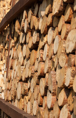 a pile of tree trunks lying, waiting to be burned