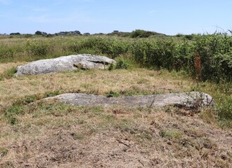 Menhirs on the ground 