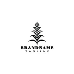 araucaria tree logo icon design template vector