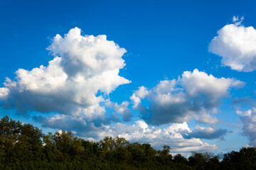 Obraz premium bright blue sky with white cou nomadic clouds, use as a background, place under the text