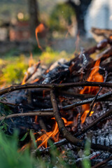 Red and orange flames from burning campfire, dry tree branches firing in bonfire. Cleaning of fields, meadows and gardens in springtime, smoke as an environmental disaster for planet earth