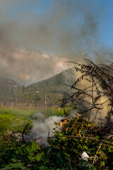 Pile of dry tree branches, fallen leaves and cut grass burning in campfire with poisoning smoke rising in air. Problem of abandoned fields, meadows and gardens, springtime cleaning causing